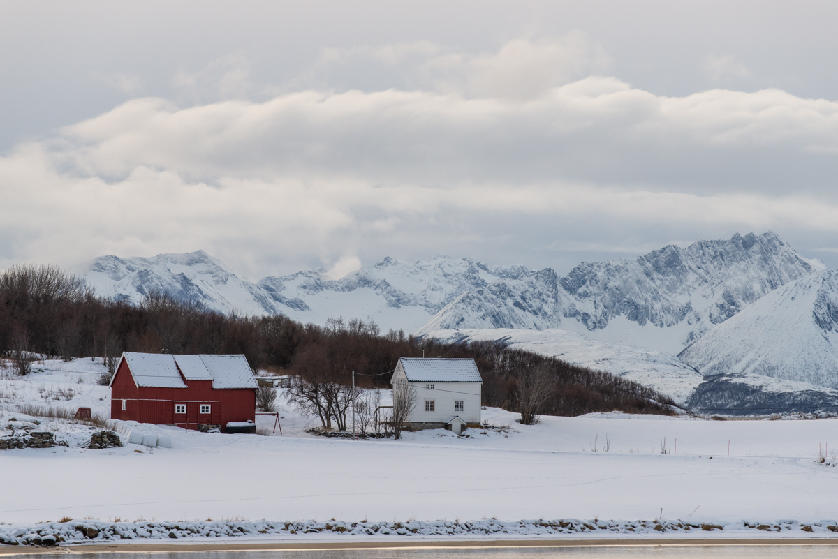 2023 Lofoten-22.jpg