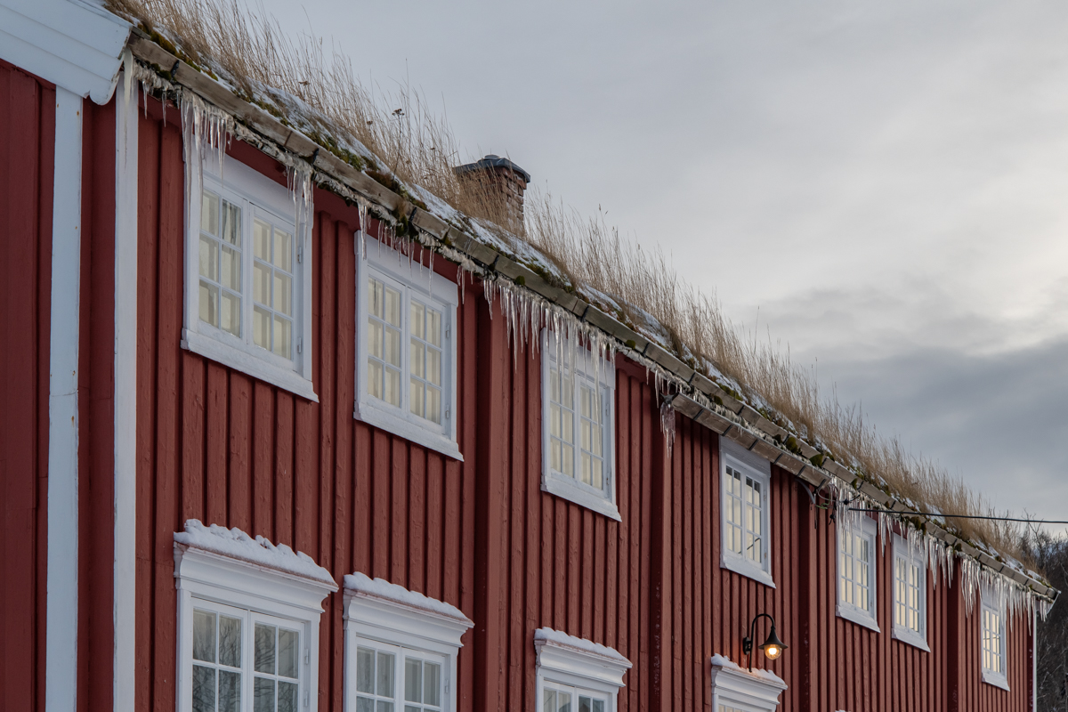 2023 Lofoten-24.jpg
