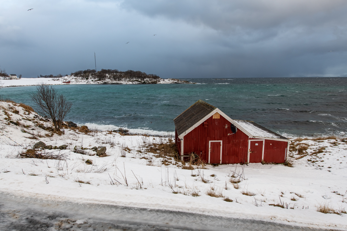 2023 Lofoten-27.jpg