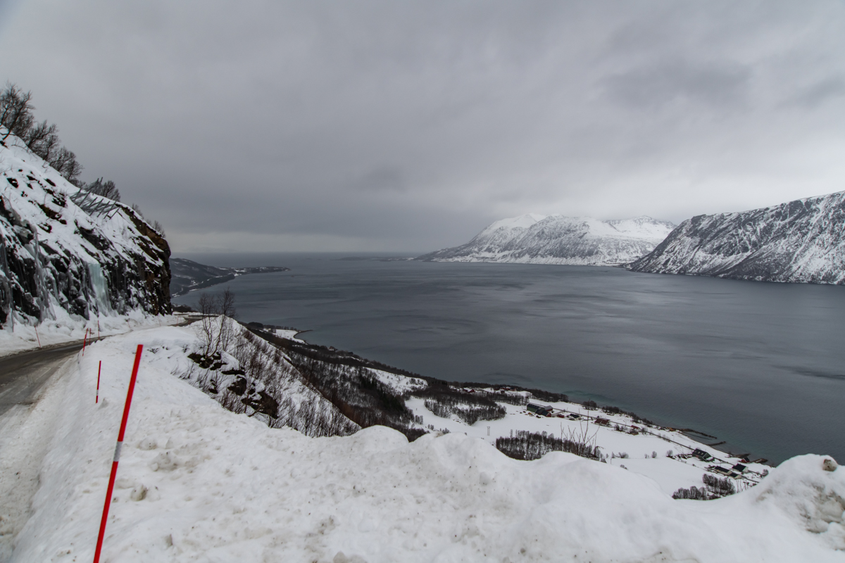 2023 Lofoten-35.jpg