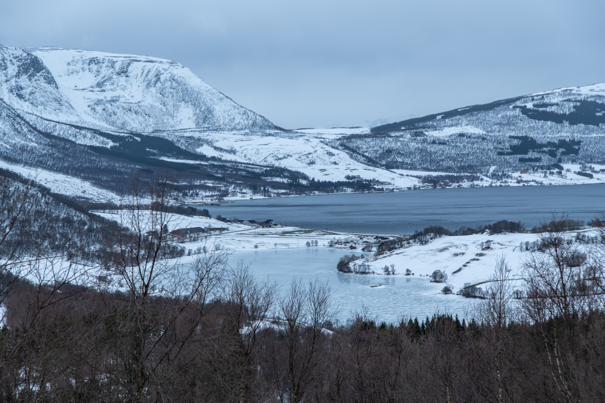 2023 Lofoten-41.jpg