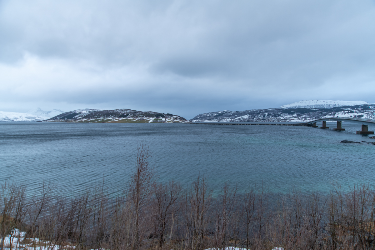 2023 Lofoten-45.jpg