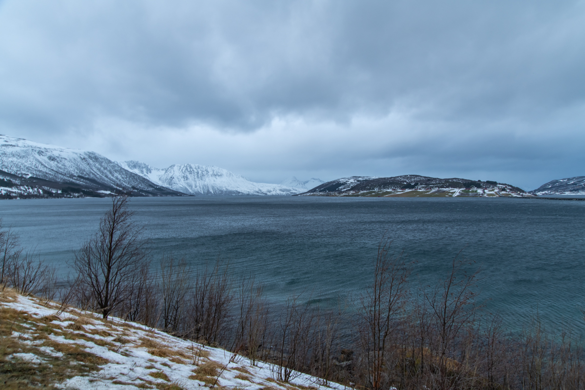 2023 Lofoten-48.jpg