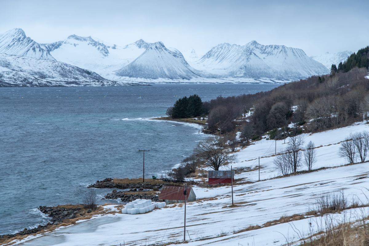 2023 Lofoten-53.jpg