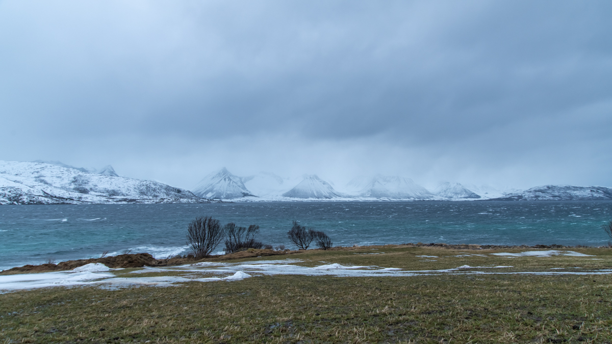 2023 Lofoten-54.jpg