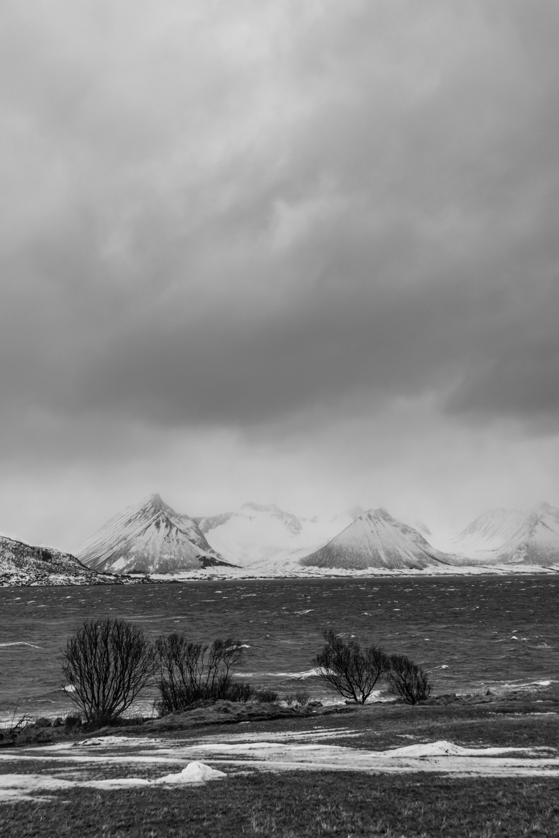 2023 Lofoten-56.jpg