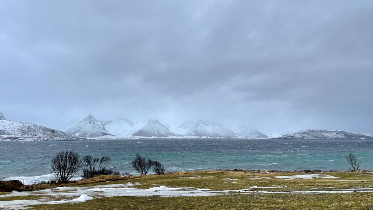 2023 Lofoten-57.jpg