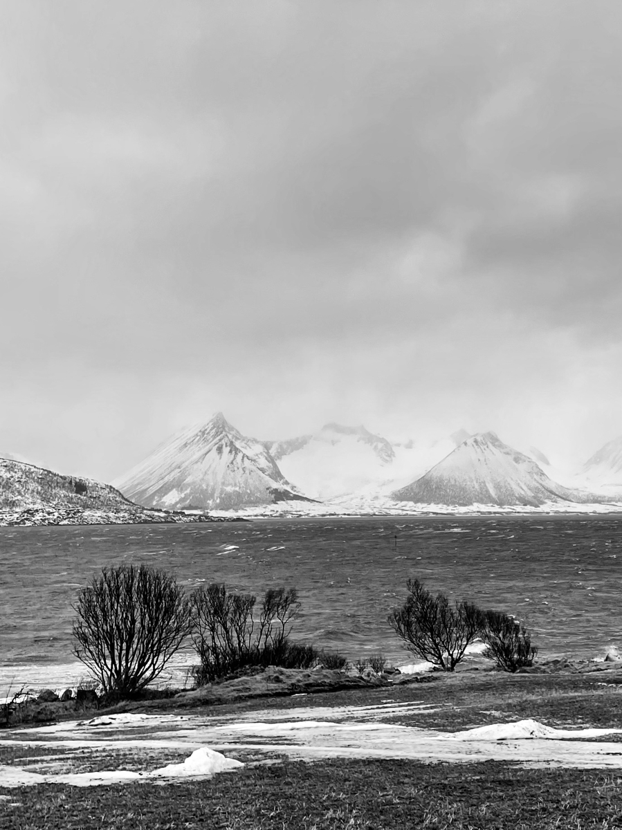 2023 Lofoten-58.jpg