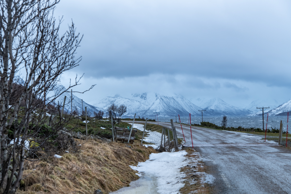 2023 Lofoten-59.jpg