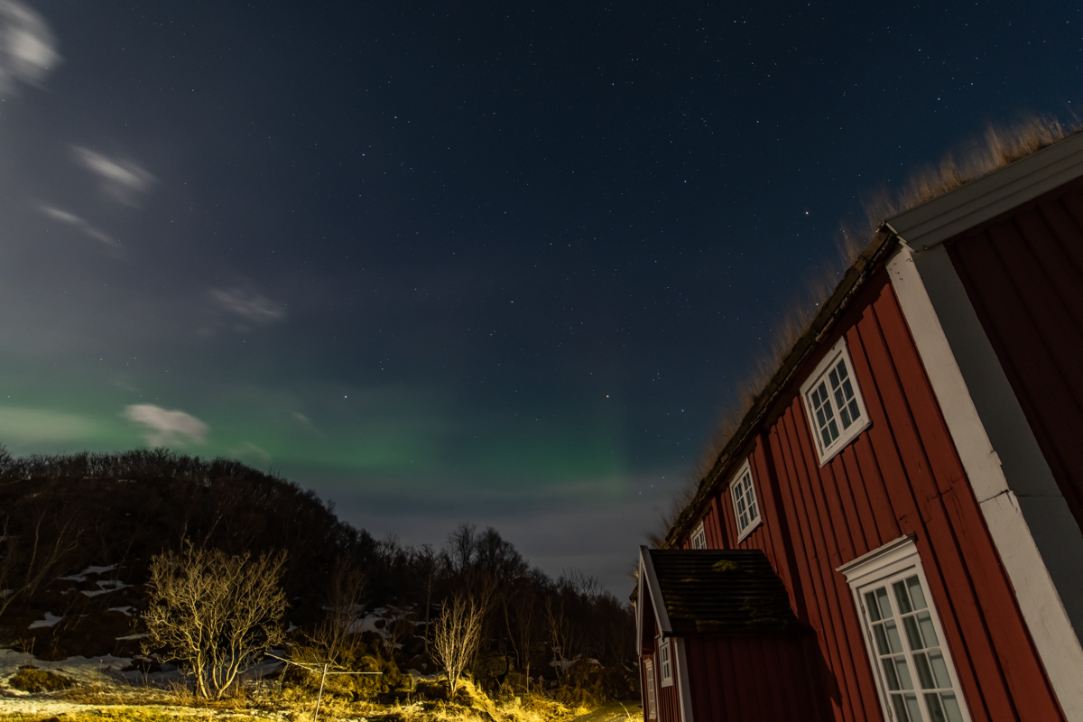 2023 Lofoten-70.jpg