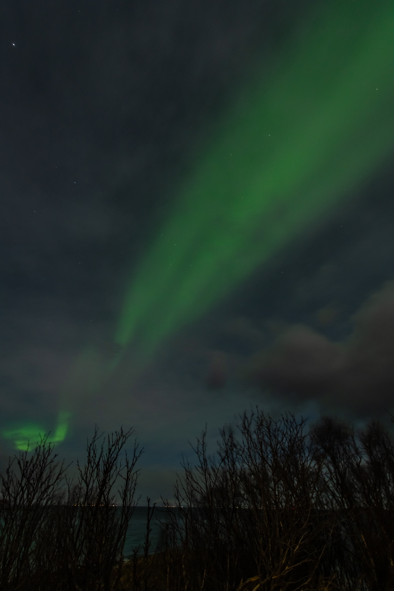 2023 Lofoten-74.jpg