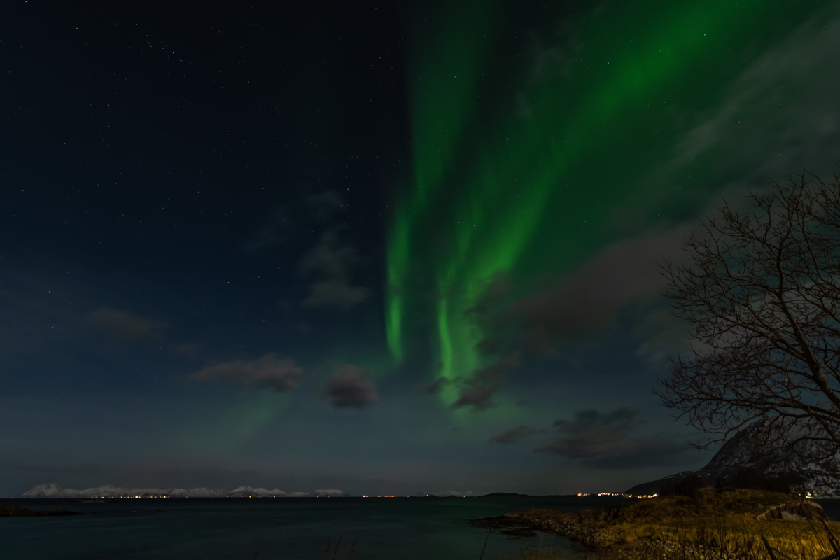 2023 Lofoten-78.jpg