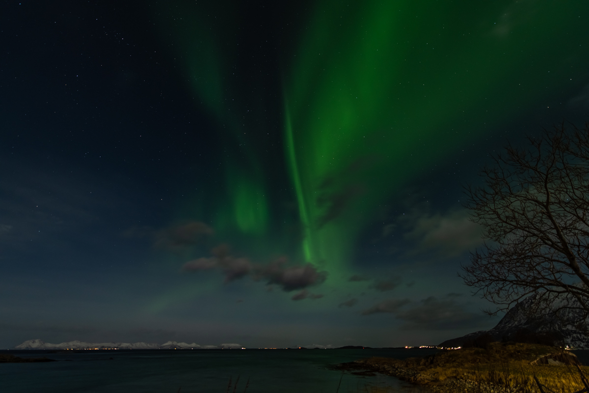 2023 Lofoten-79.jpg