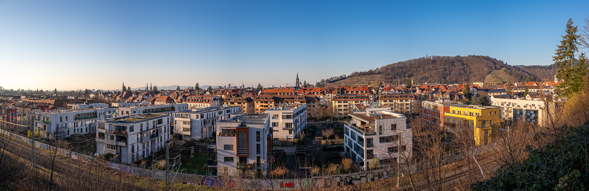 20230212-NZ6_4899-Pano.jpg