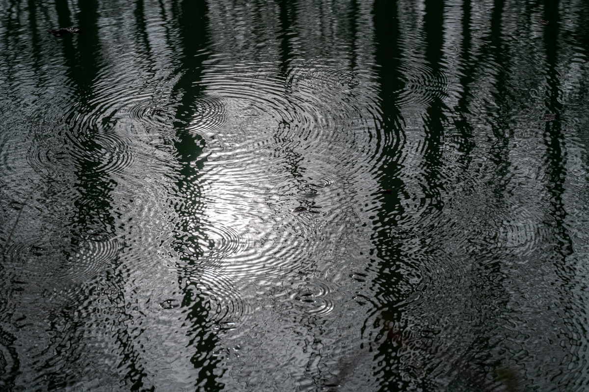 20230318-NZ6_6043.jpg