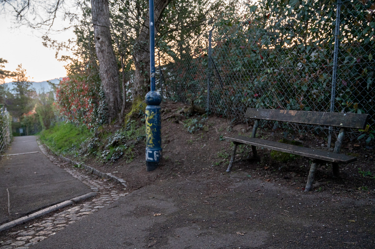 20230409-NZ6_6414.jpg