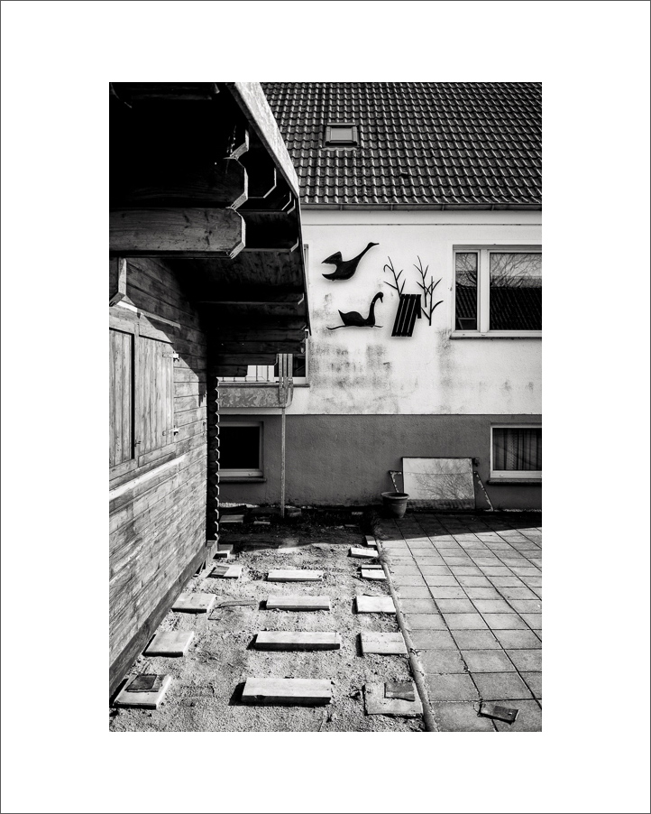 20230410-L1004273-Bearbeitet.JPG