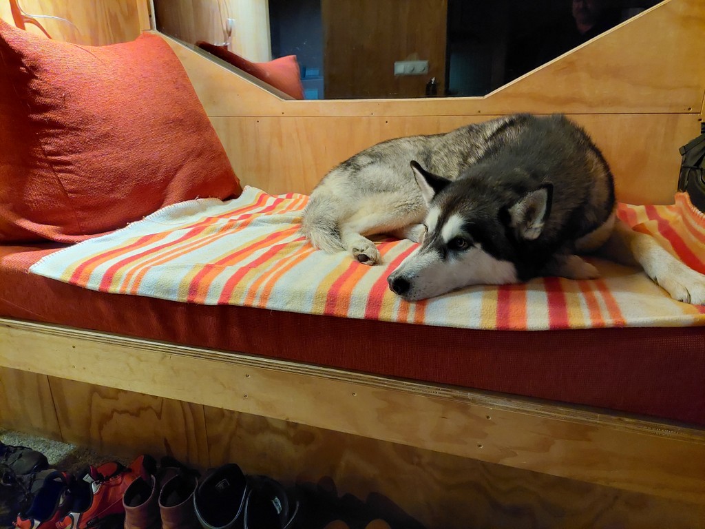 20230519_235457.jpg