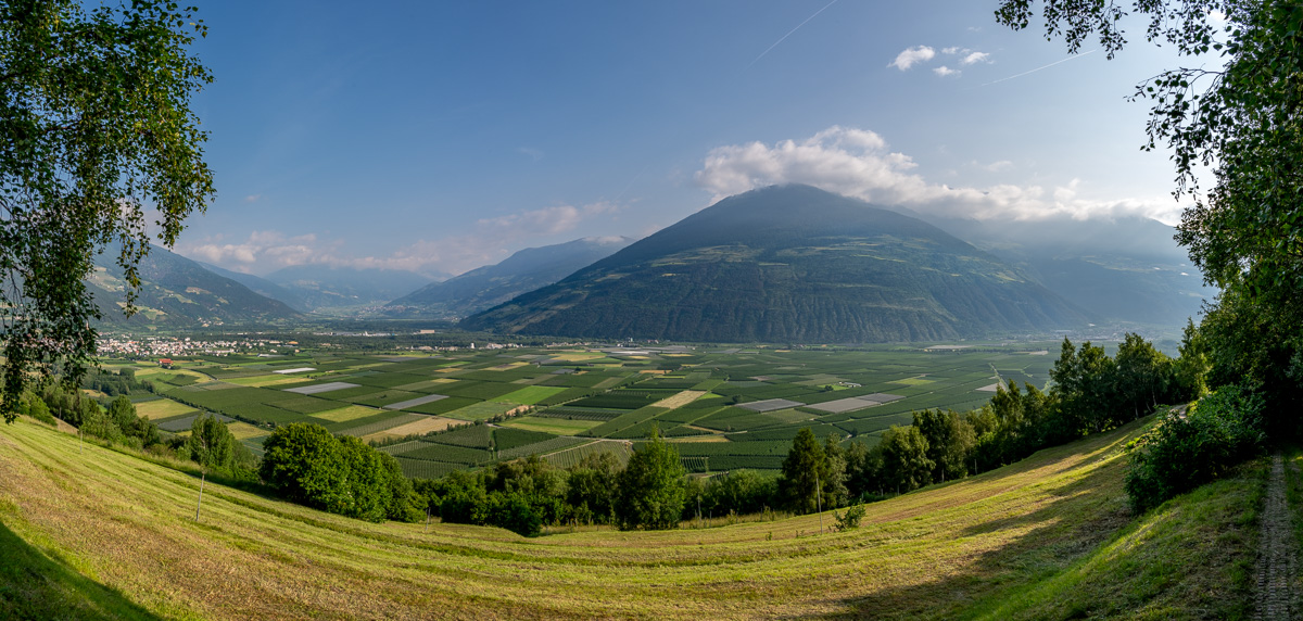 20230620-NZ6_0051-Pano.jpg