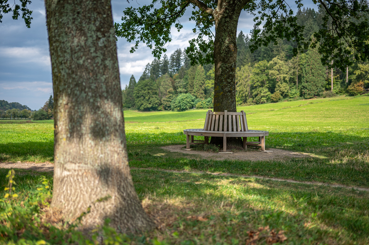 20231003-NZ6_2013.jpg