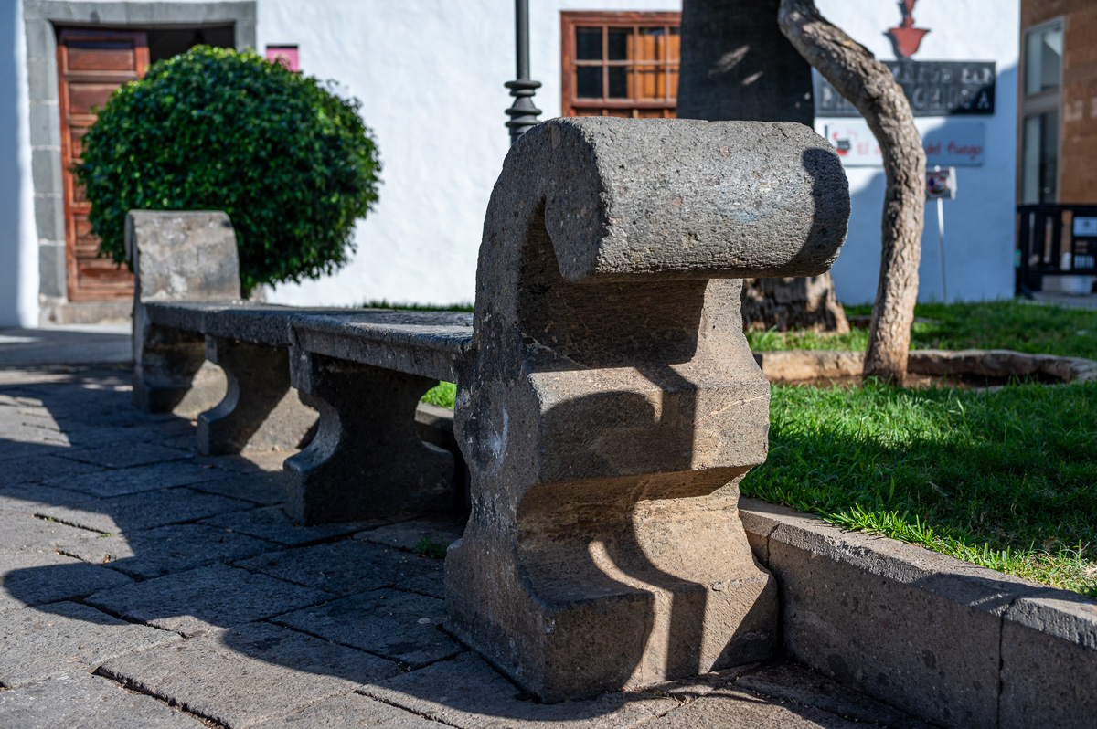 20231107-NZ6_5869.jpg