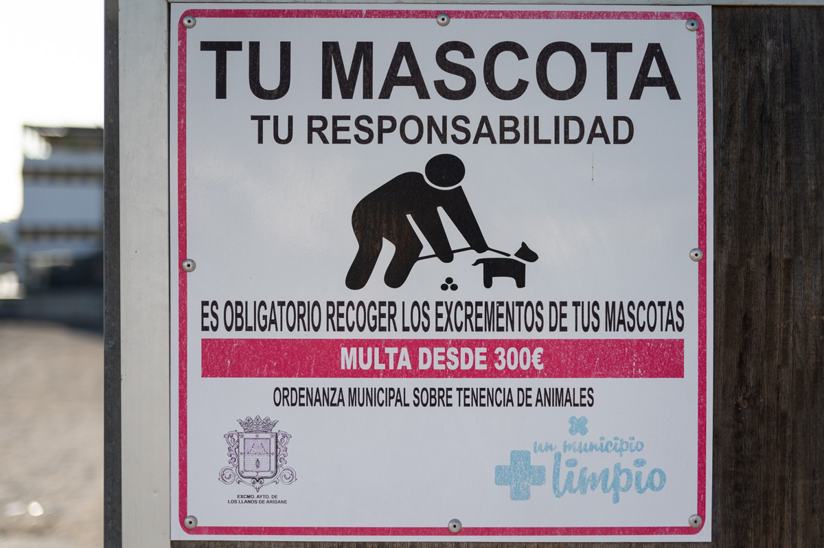 20231112-NZ6_7490.jpg