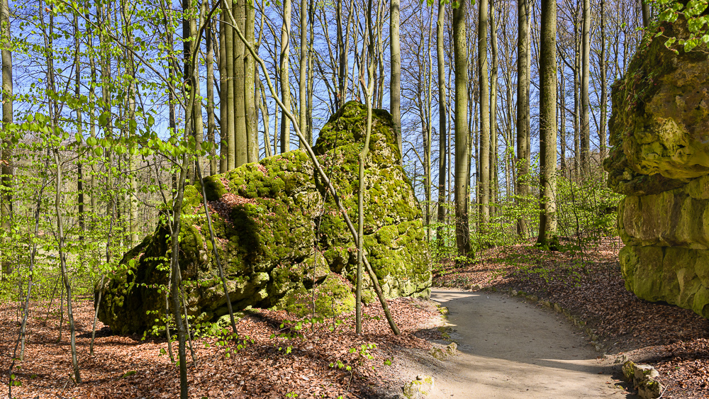 2024-04-010.jpg