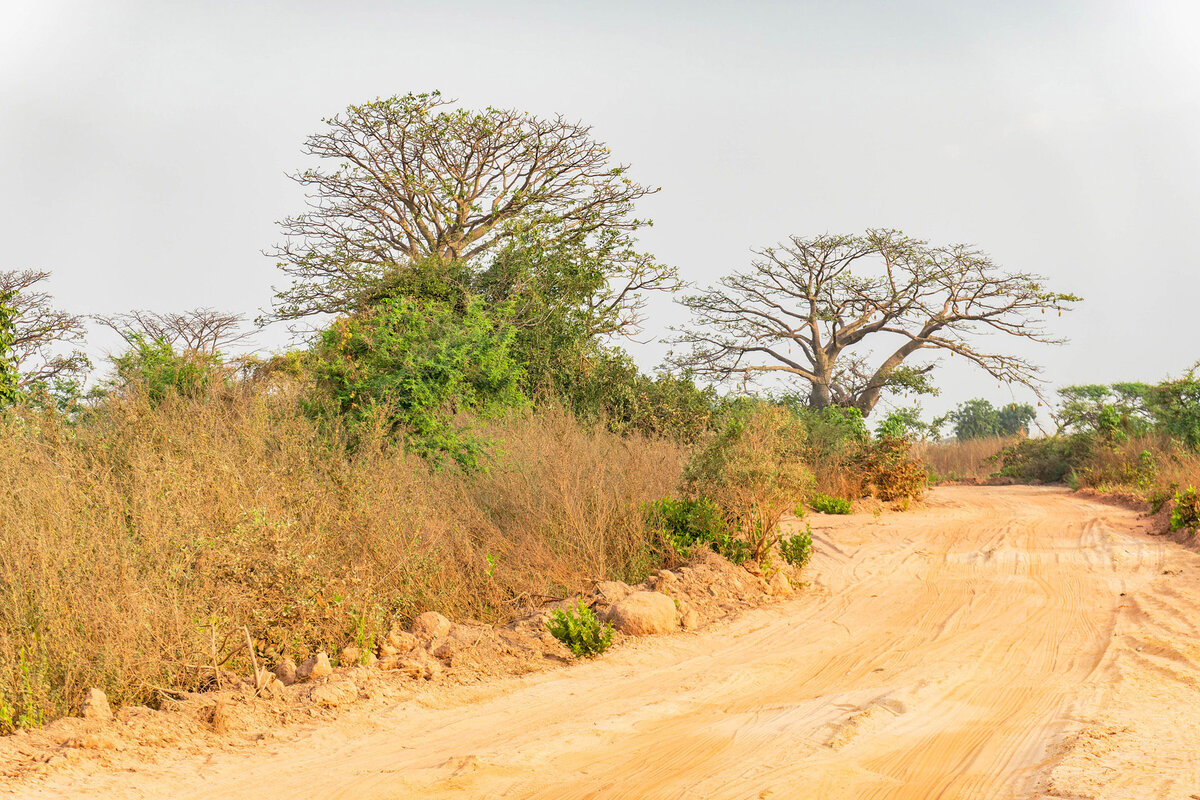 2024-12-14 003 Dirt Road.jpg