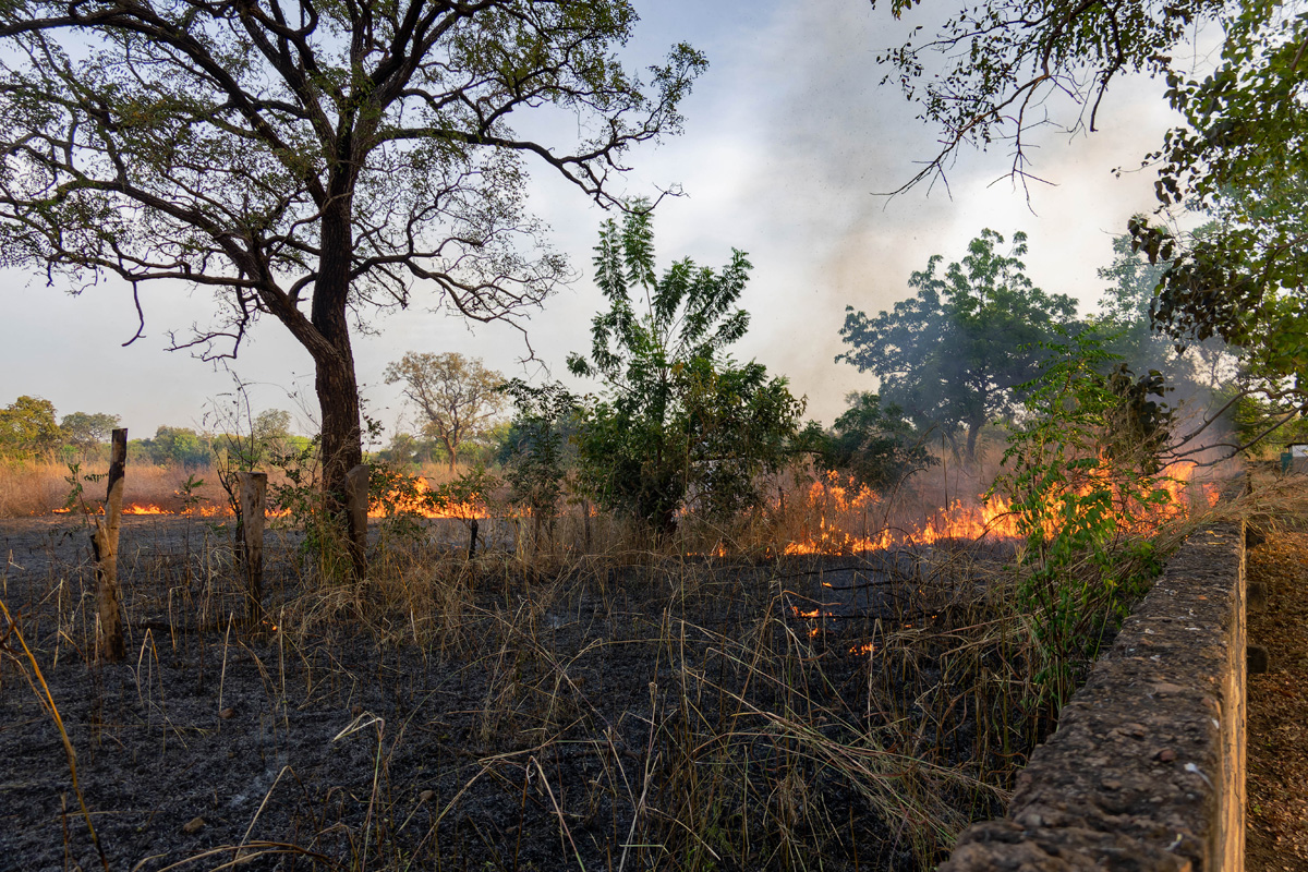 2024-12-16 081 Bush Fire.jpg