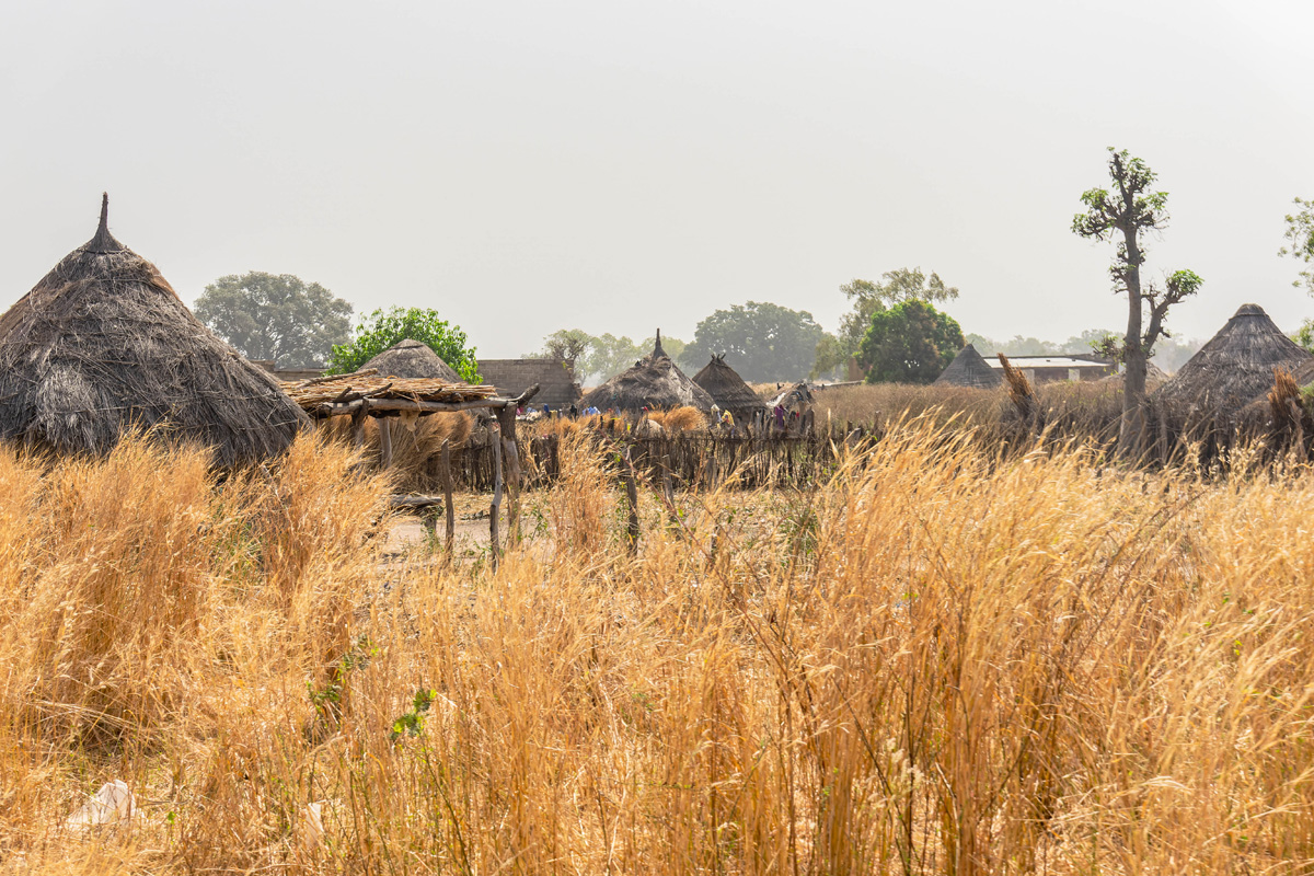 2024-12-19 006 Senegal Houses.jpg