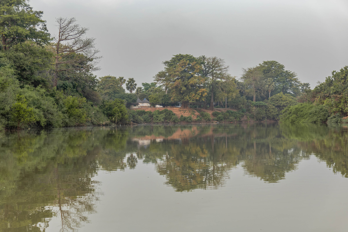 2024-12-19 097 Wassadou Camp.jpg