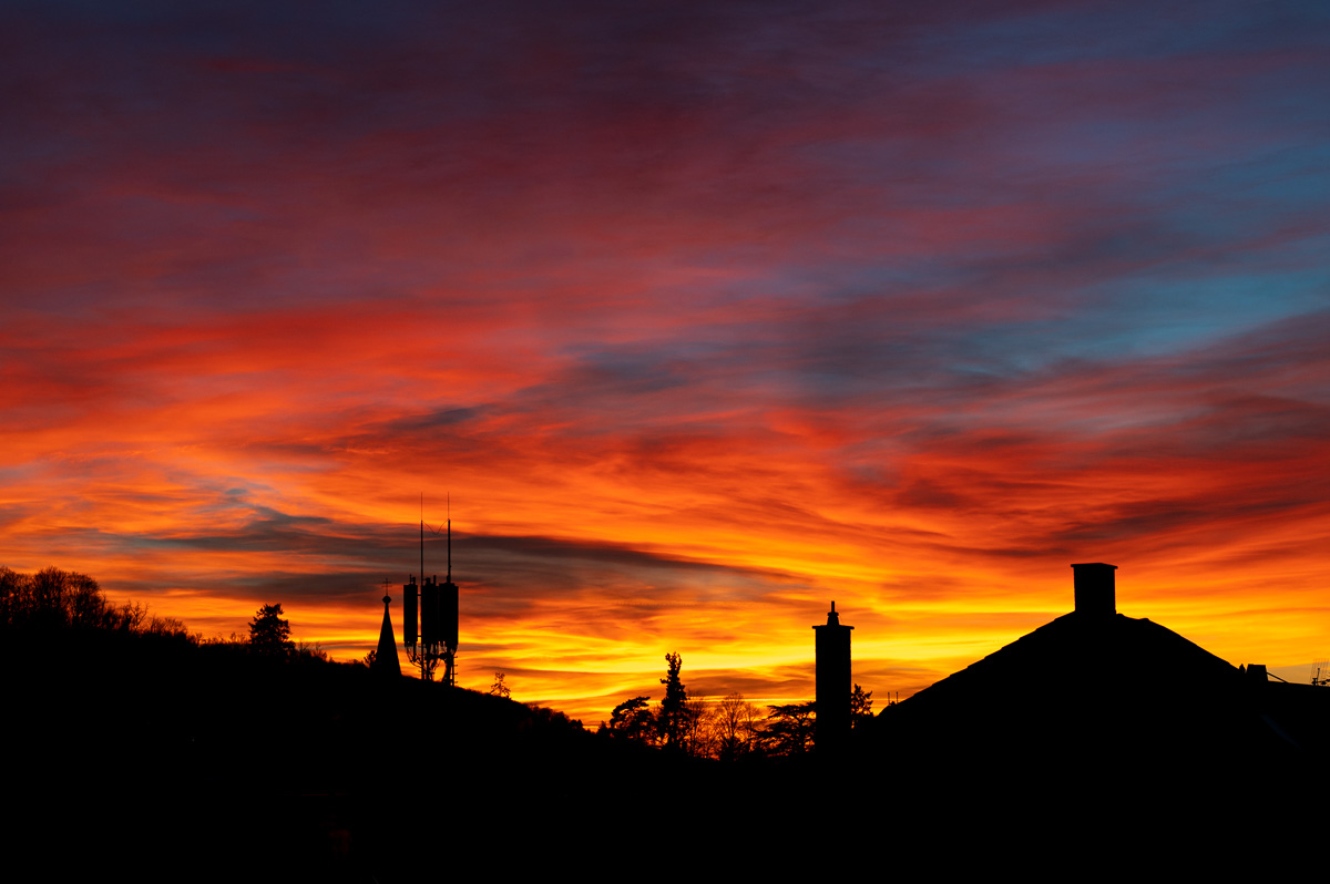 20240202-NZ6_9414.jpg