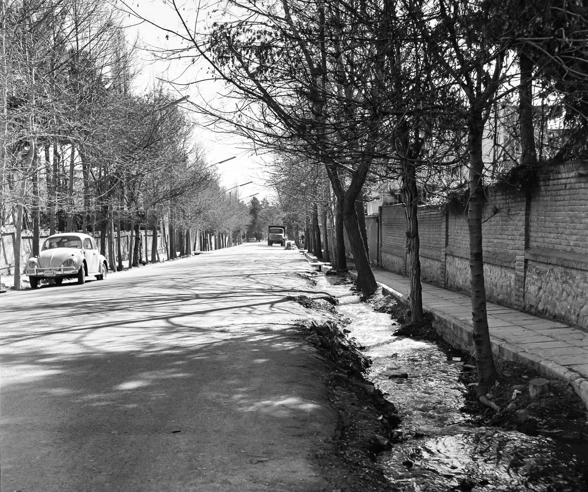 20240323-NIK_6903.jpg