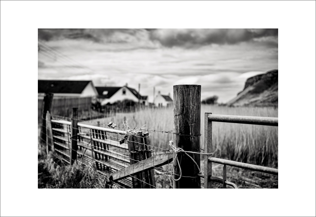 20240402-L1005060-Bearbeitet.JPG