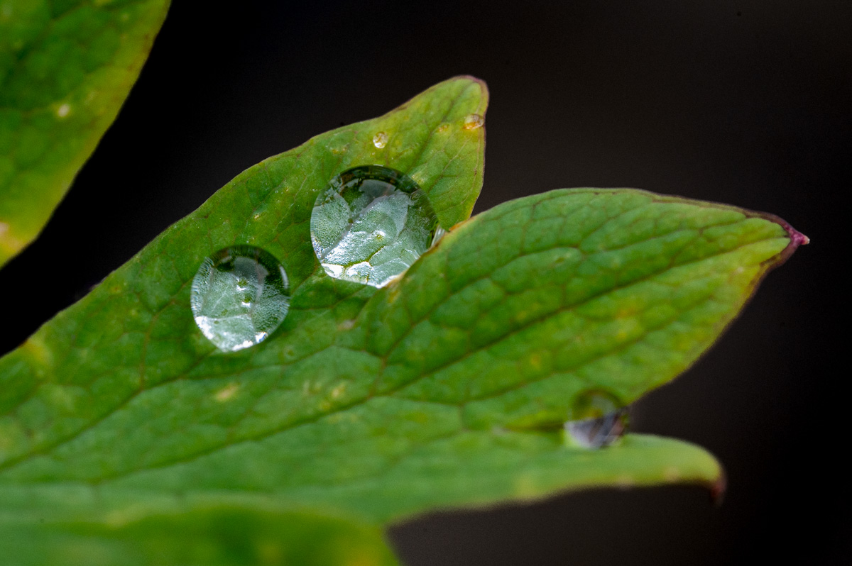20240601-NZ6_2250.jpg