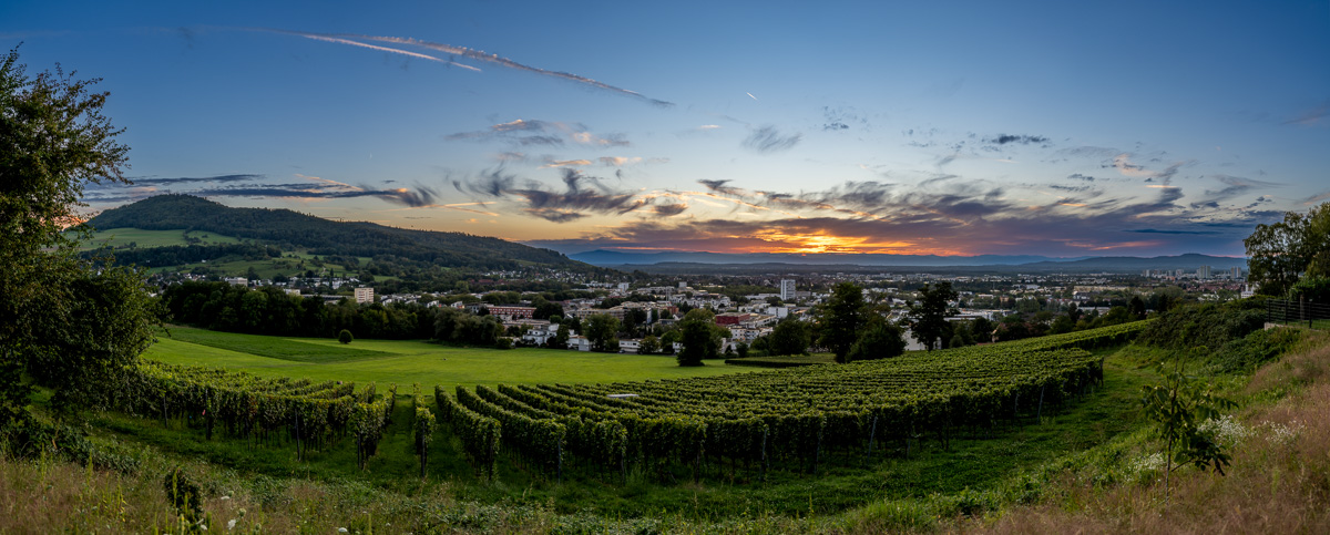 20240906-NZ7_0179-Pano.jpg