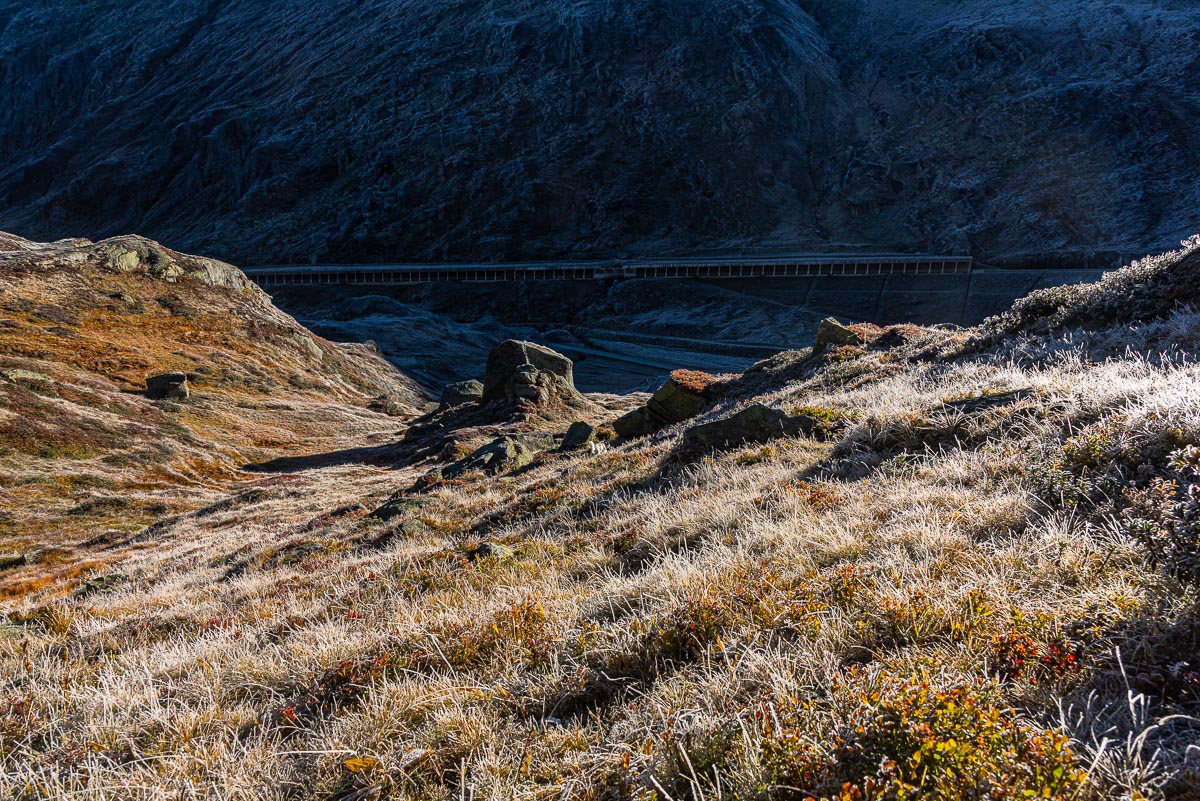 20240929-NIK_8064.jpg