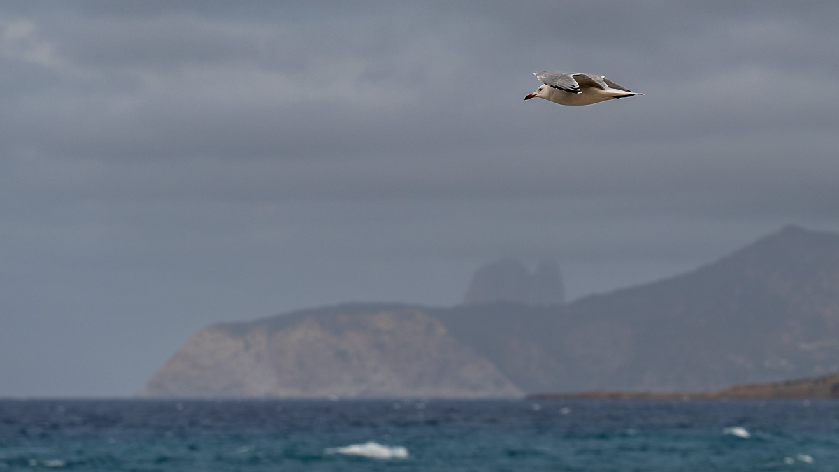 20241009-NZ7_0777.jpg