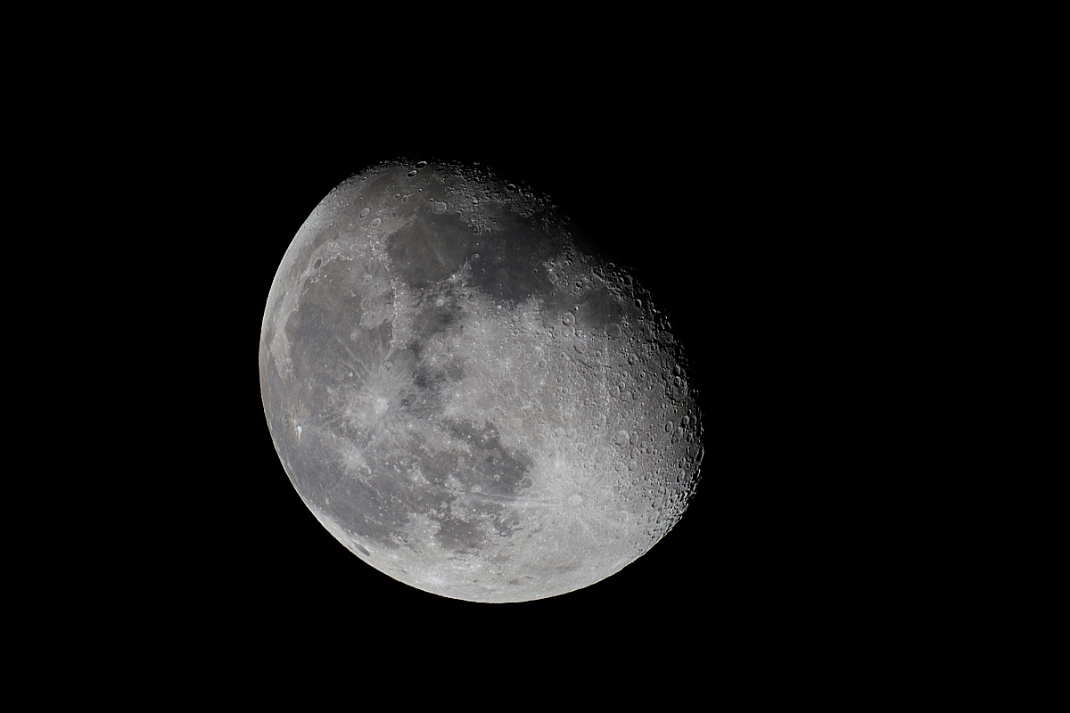 20241021_001553.jpg
