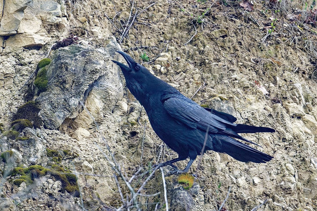 2024_021125_DxO.jpg