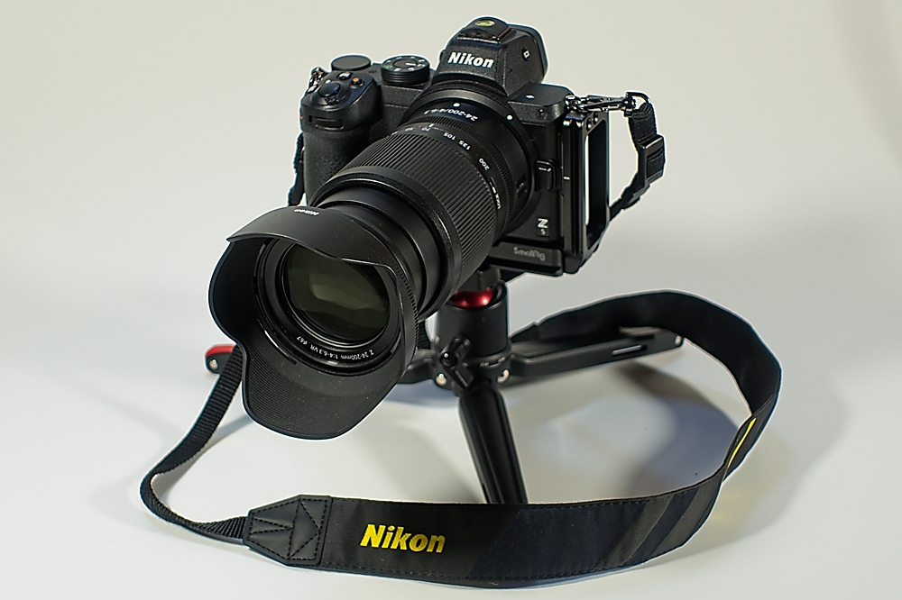 2025-01-30_10-52-46_DSC-RX100M5A_003_1000.jpg