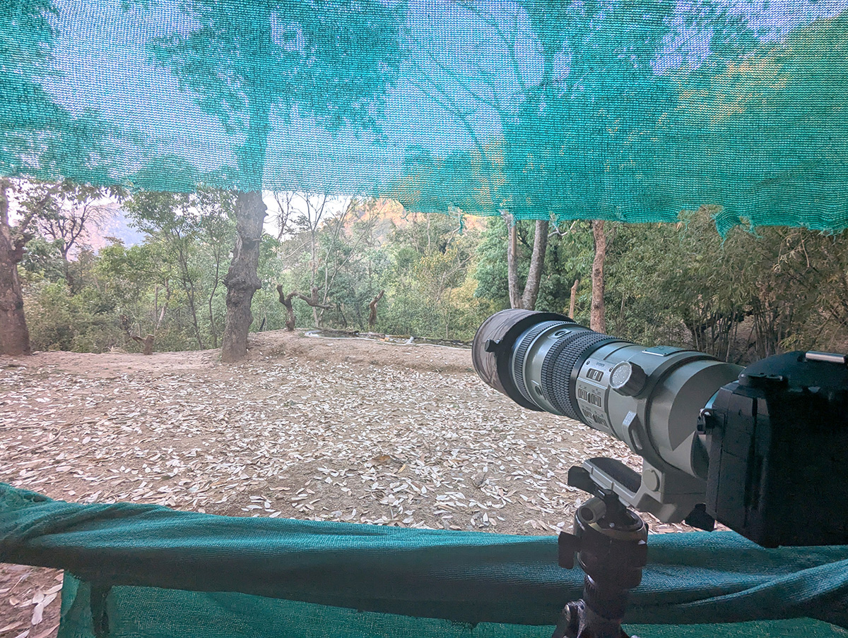 2025-04-03 01 Christian Ashram Bird Hide.jpg