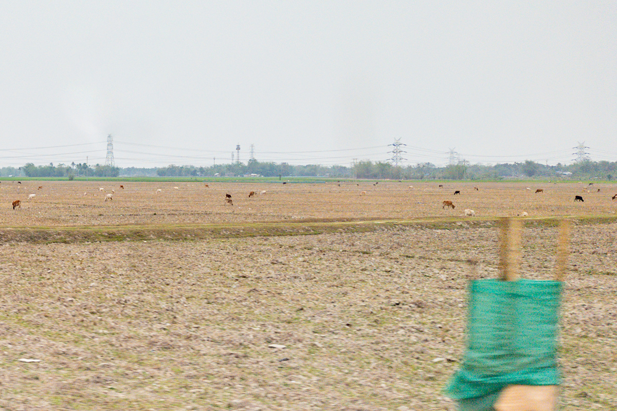 2025-04-06 03 Field.jpg