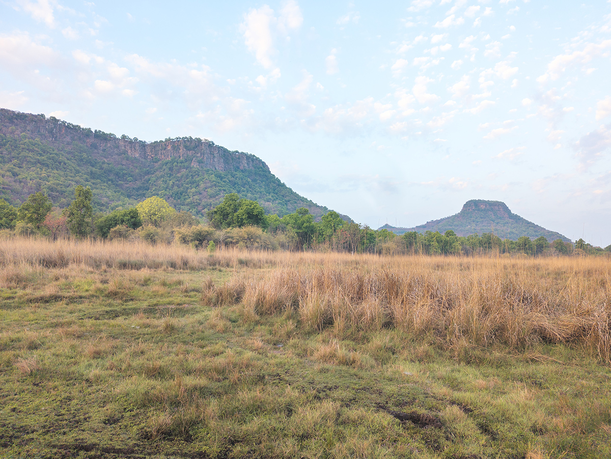 2025-04-14 005 Bandhavgarh Tiger Reserve.jpg