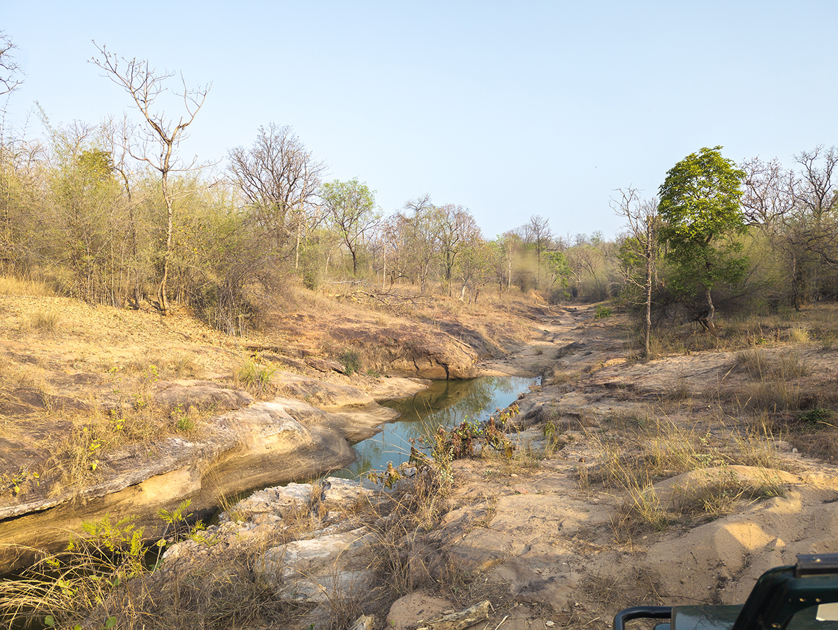 2025-04-15 045 Water Hole.jpg