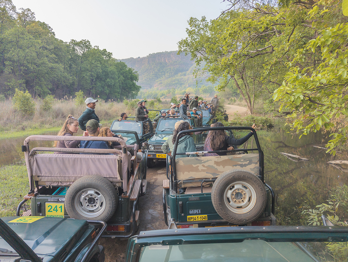 2025-04-16 015 Tiger Hunters.jpg
