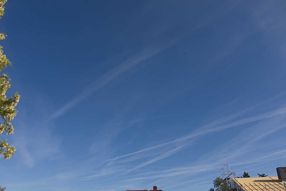 2025-05-10_08-21-23_DSC-RX100M5A_1000.jpg