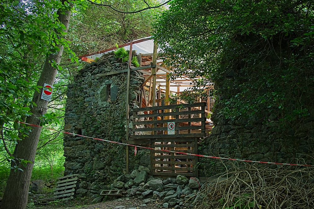 2025-05-30_07-37-41_NIKON Z 5.jpg