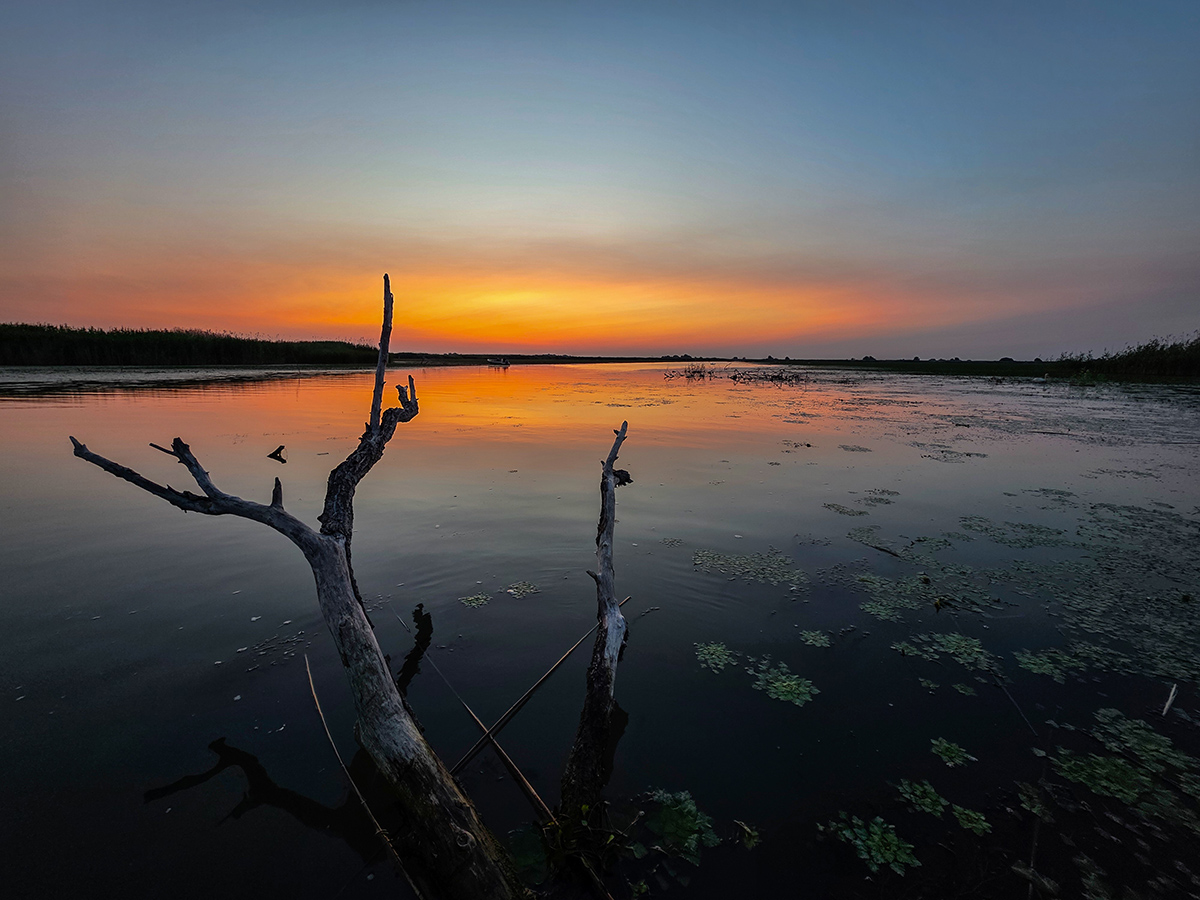 2025-06-14 020 Sunrise in the Danube Delta.jpg