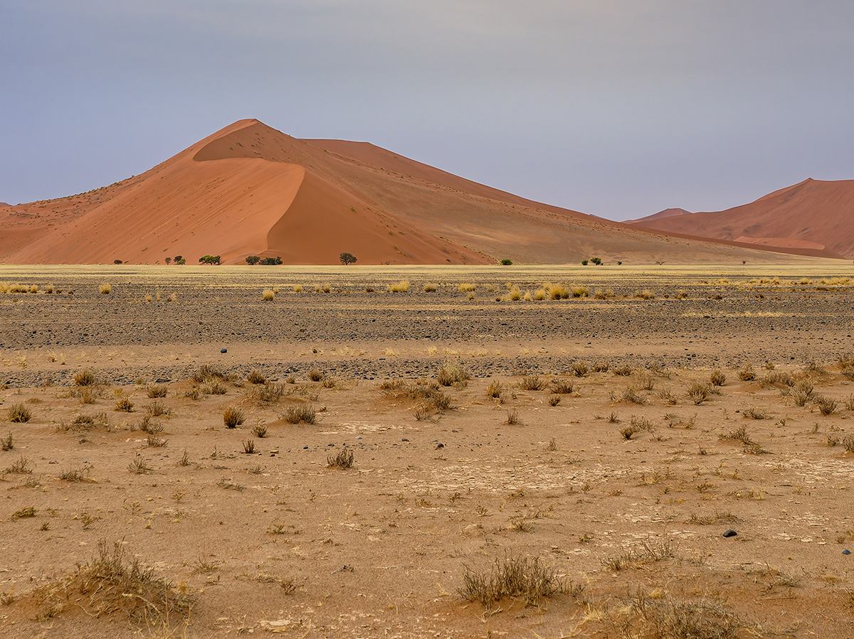 2025-09-19 048 Sossusvlei Dunes.jpg
